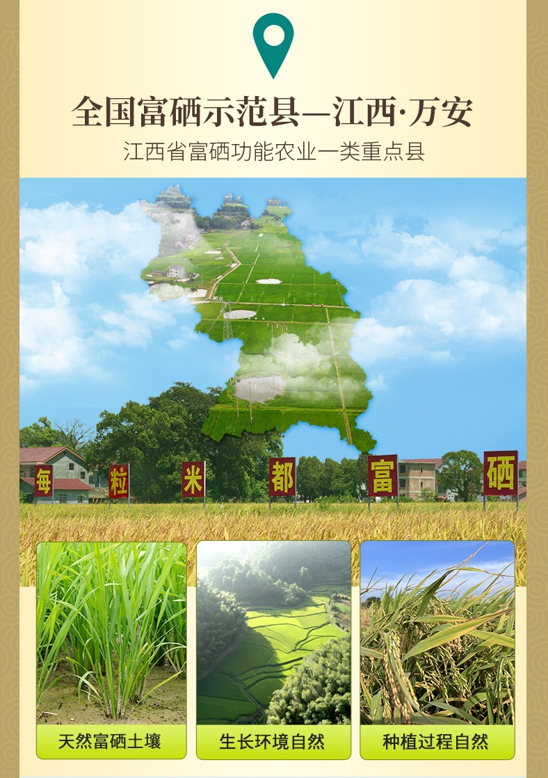 和萬安|生態(tài)農(nóng)業(yè)|有機(jī)食品|綠色食品|稻田共養(yǎng)