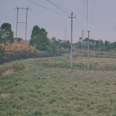 禾天下農業直播-剡溪5