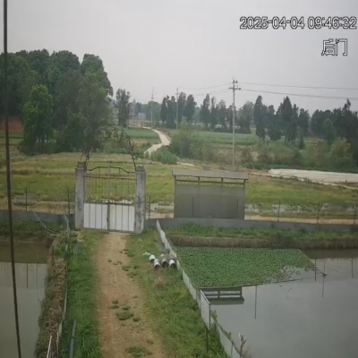 禾天下基地直播-剡溪